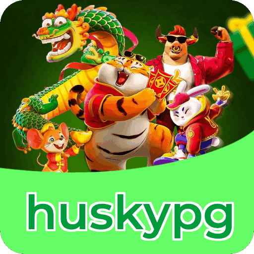 Métodos de pagamento aceitos na huskypg